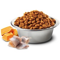 N&D Cat Ocean heringgel, sütőtökkel és naranccsal | Gabonamentes macskatáp #3