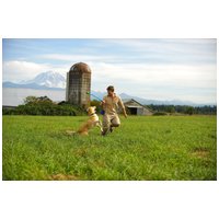 Chuckit! Sport18 labda elhajító katapult labdával #4