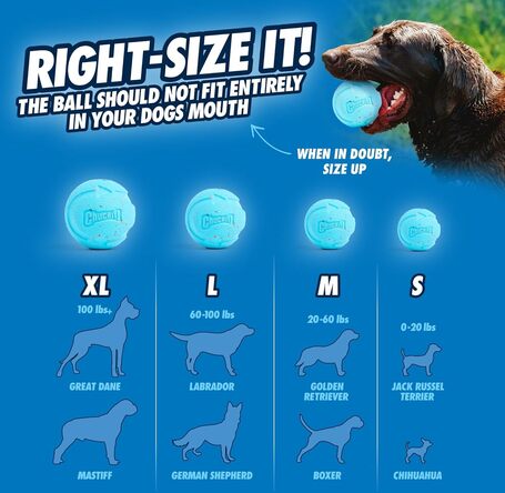 Chuckit! Med Rebounce Ball (2 db labda / szett)