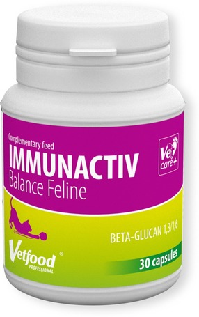 VetFood ImmunActive Balance Feline az immunrendszer támogatásáért macskáknak