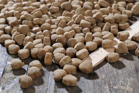 Bewi-Dog Balance kevésbé aktív kutyáknak