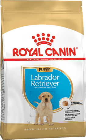 Royal Canin Labrador Junior - Labrador Retriever kölyök kutya száraz táp