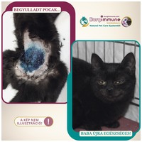 Burgimmune immunerősítő por #11