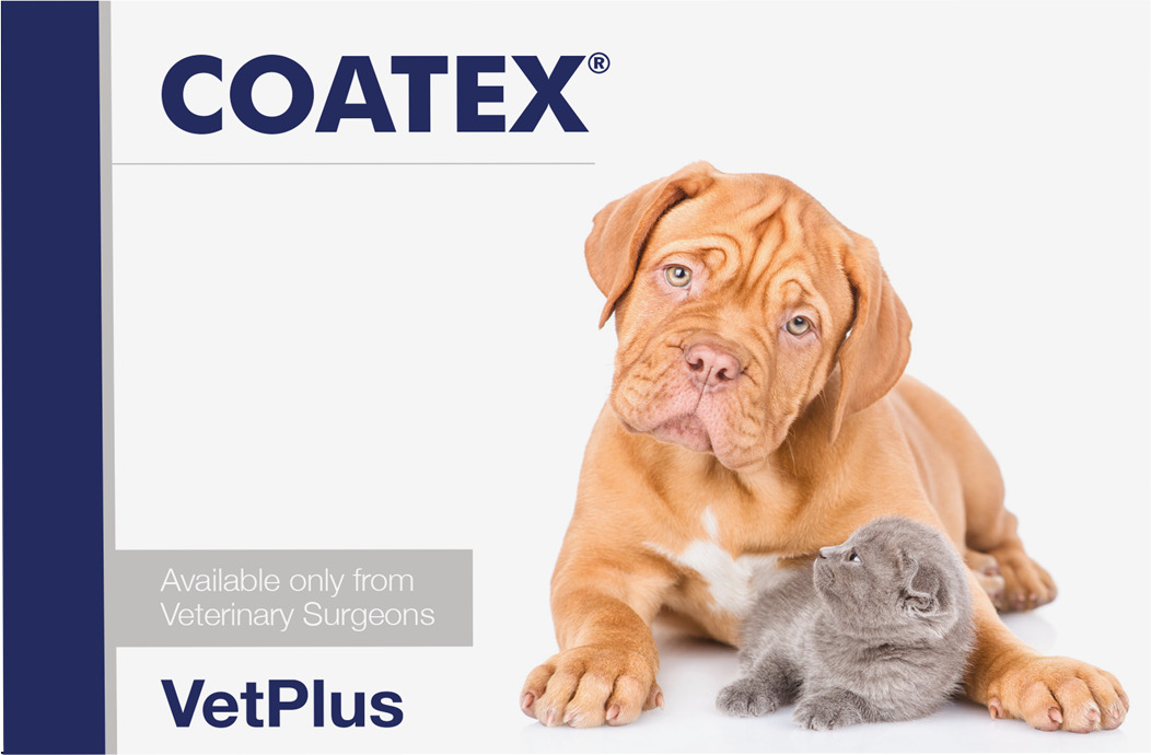 VetPlus Coatex capsulă hrănitoare pentru piele