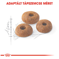 Royal Canin Fit - aktív felnőtt macska száraz táp #2