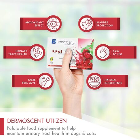 Dermoscent Uti-Zen kutyáknak és macskáknak