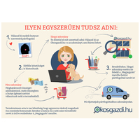 Wilson, 6 éves, 48 cm magas, kan #8