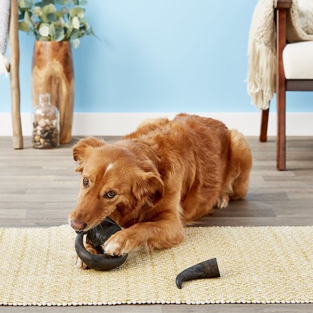 Trixie bivalyszarv kutyáknak