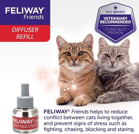 Feliway Friends nyugtató hatású párologtató macskáknak
