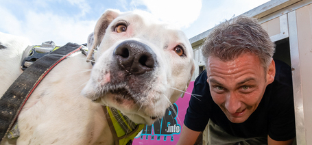 Hátrányos helyzetű gyerekeket támogatnak a kutyás futók az év utolsó Hard Dog Race versenyén, Vácdukán