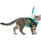 Trixie Mesh Y Harness with leash - Y hám, hálós anyagból pórázzal macskáknak