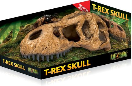 Exo Terra T-Rex koponya dekor terráriumba