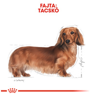 Royal Canin Dachshund Adult - Tacskó felnőtt kutya nedves táp #2