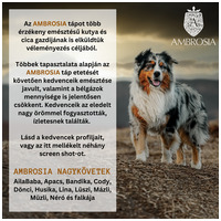 Ambrosia Dog Grain Free Senior, Light & Sterilized #23