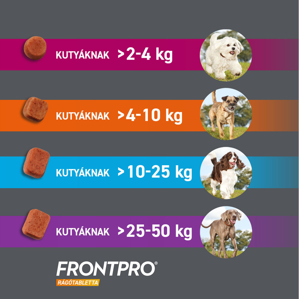 Frontpro változatok