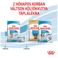 Royal Canin Mini Starter - Száraz táp kistestű vemhes szuka és kölyök kutya részére 2 hónapos korig #6