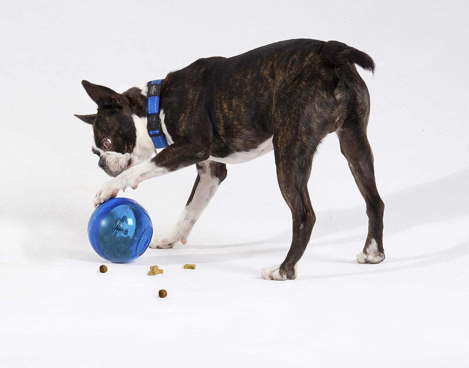 Rogz Tumbler minge de recompensă pentru câini - zoom