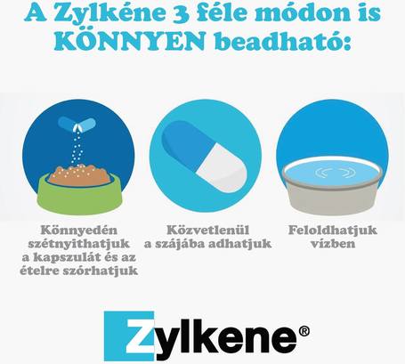 Zylkéne nyugtató kapszula közepes és nagytestű kutyáknak