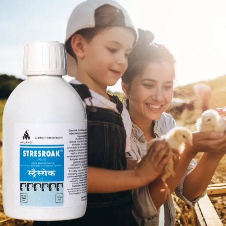 Stresroak stressz elleni, immunerősítő itatófolyadék