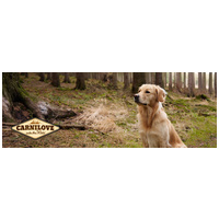 CarniLove Puppy Large Salmon & Turkey száraztáp nagytestű kölyökkutyáknak #3