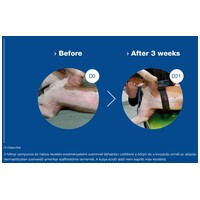 Douxo S3 Calm sampon kutyáknak és macskáknak #2