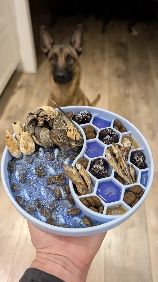 Suport natural cu spirulina albastră de la Cooka - zoom