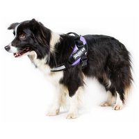 Julius-K9 IDC lila powerhám kutyáknak #3