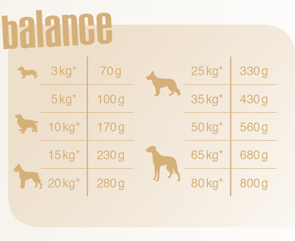 Bewi-Dog Balance