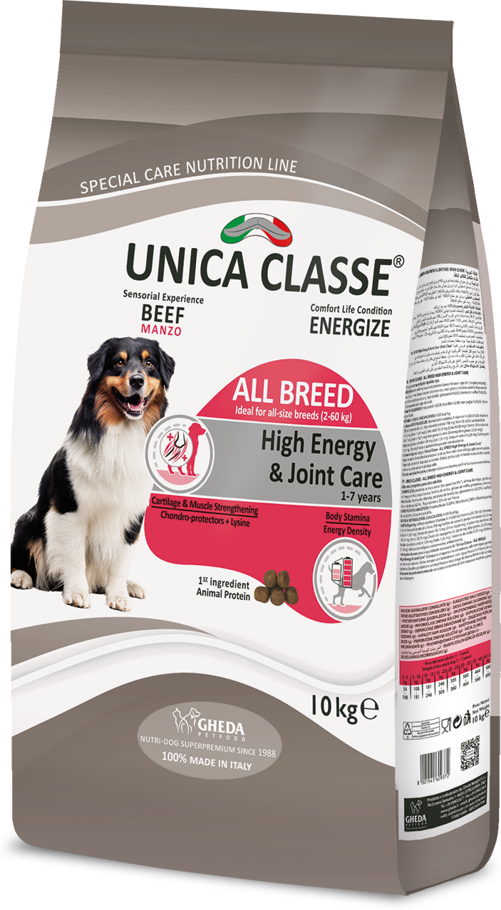 Unica Classe Adult All Breeds High Energy