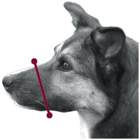 Trixie puha műanyag szájkosár #3