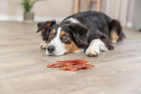 Trixie Premio Ducky Stripes szárított kacsamell csíkok