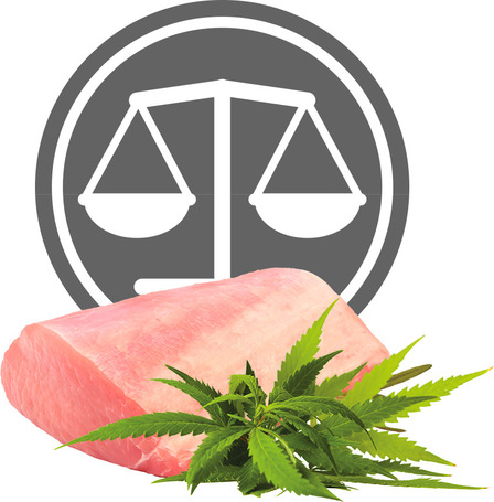 Exclusion Dog Metabolic & Mobility Pork & Fibres Medium & Large