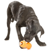 West Paw Qwizl - Jutalomfalattal tölthető rágóka #15