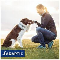 Adaptil Calm feromonos nyugtató nyakörv kutyáknak #2