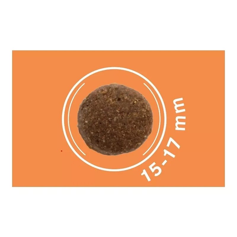 Dog Vital hrană hipoalergenică cu miel 12 + 2 kg - zoom