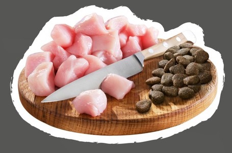 Belcando Adult Grain-Free Poultry | Gabonamentes szuperprémium kutyatáp