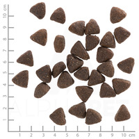 Wolfsblut Wild Boar Adult vaddisznó burgonyával #5