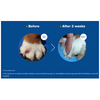 Douxo S3 Pyo sampon kutyáknak és macskáknak #3