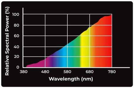 Reptile Nova Daylight UVA terrárium izzók