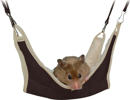 Függőhinták, -fekhelyek kisállatoknak