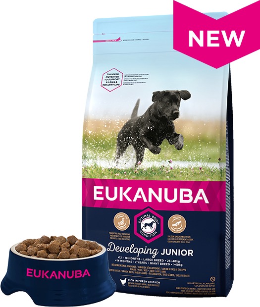 Eukanuba Junior Large - Hrană pentru pui de câine de talie mare și foarte mare - zoom