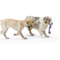 West Paw Zwig apport #13