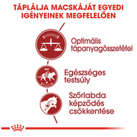Royal Canin Fit - aktív felnőtt macska száraz táp #3