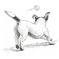 Aport Premium Adult kutyatáp #8