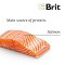 Brit Care Dog Show Champion Salmon & Herring