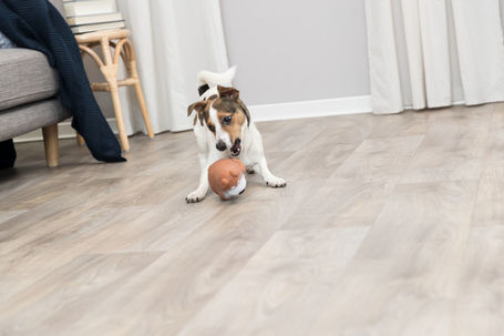 Trixie duci latex kutya sípoló hanggal