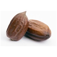 Biogance Long Coat Shampoo - Sampon hosszúszőrű kutyák és macskák fürdetéséhez #6