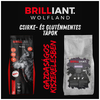 Brilliant Wolfland Salmon & Rice Monoprotein #3