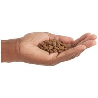 Orijen Fit & Trim Cat - Diétás macskatáp #7