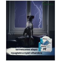 Zylkéne nyugtató kapszula közepes és nagytestű kutyáknak #7